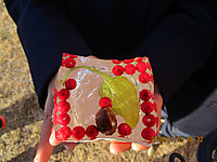 Img_3016_2 Img_3016_2