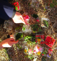 Img_3018_2 Img_3018_2