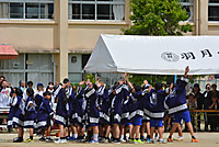 Dsc_0117 Dsc_0117