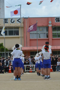 Dsc_0252 Dsc_0252