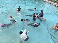 Img_9264 Img_9264