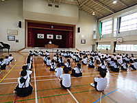 Img_4256 Img_4256
