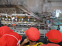 Img_3497 Img_3497