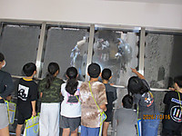 Img_3503 Img_3503