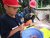 Img_4525 Img_4525