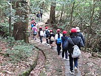 Img_4677 Img_4677